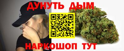 сатива Кунгур