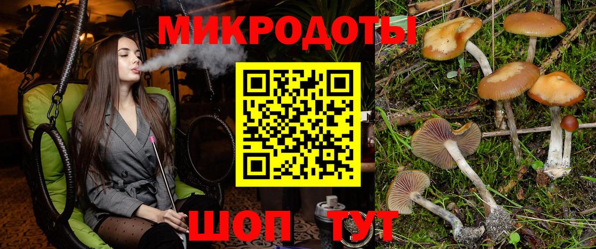 Галлюциногенные грибы прущие грибы Зима