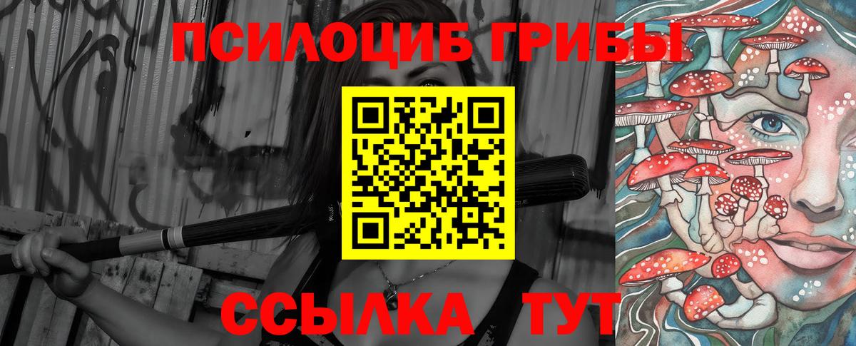 Псилоцибиновые грибы мицелий  Вход с VPN  Зима 